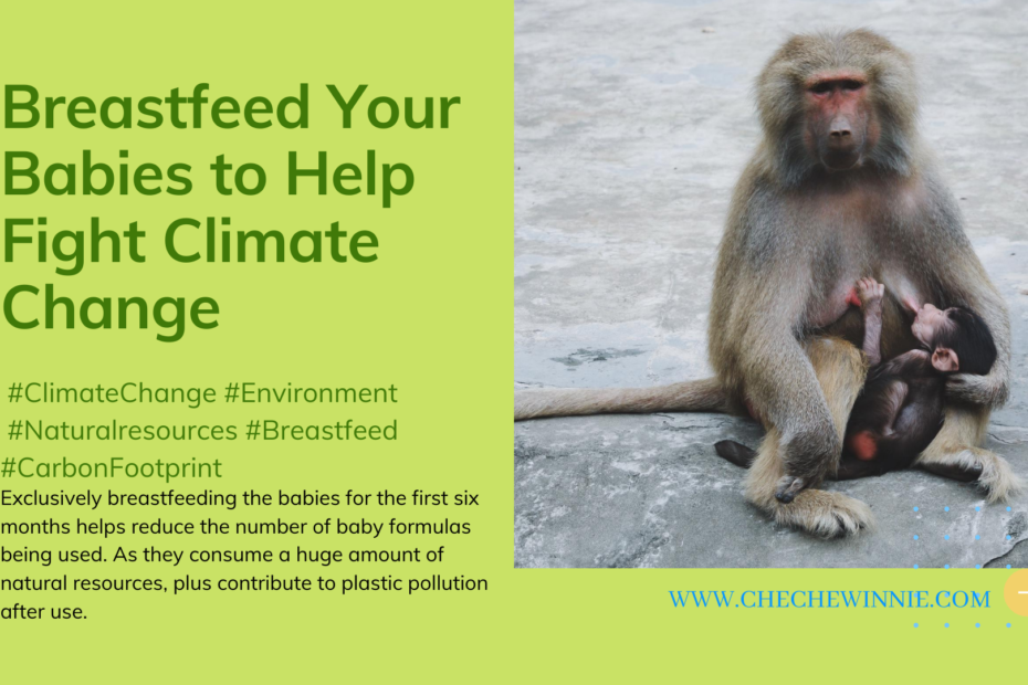 Breastfeed Your Babies to Help Fight Climate Change