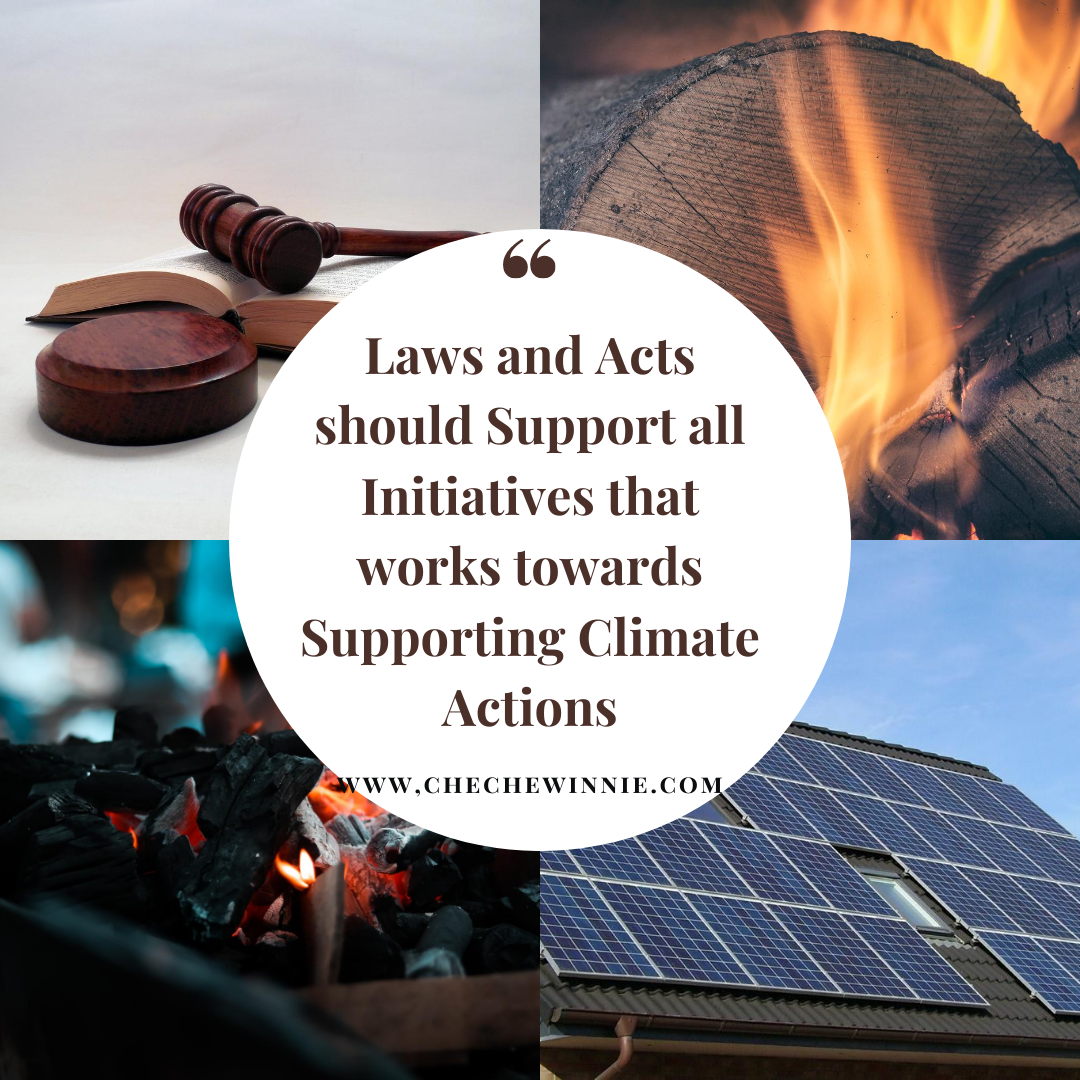 Laws and Acts should Support all Initiatives that works towards Supporting Climate Actions