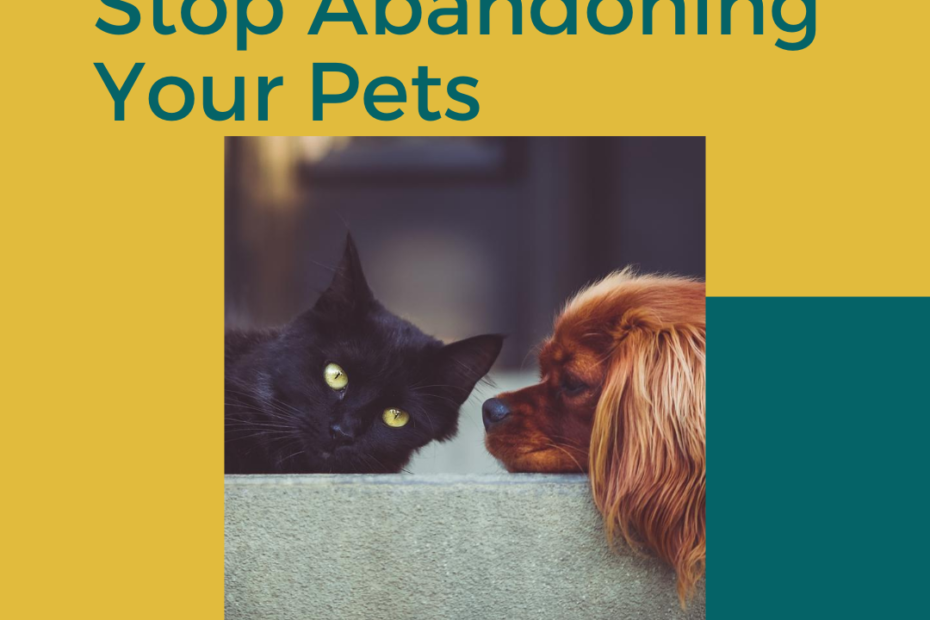 Stop Abandoning Your Pets