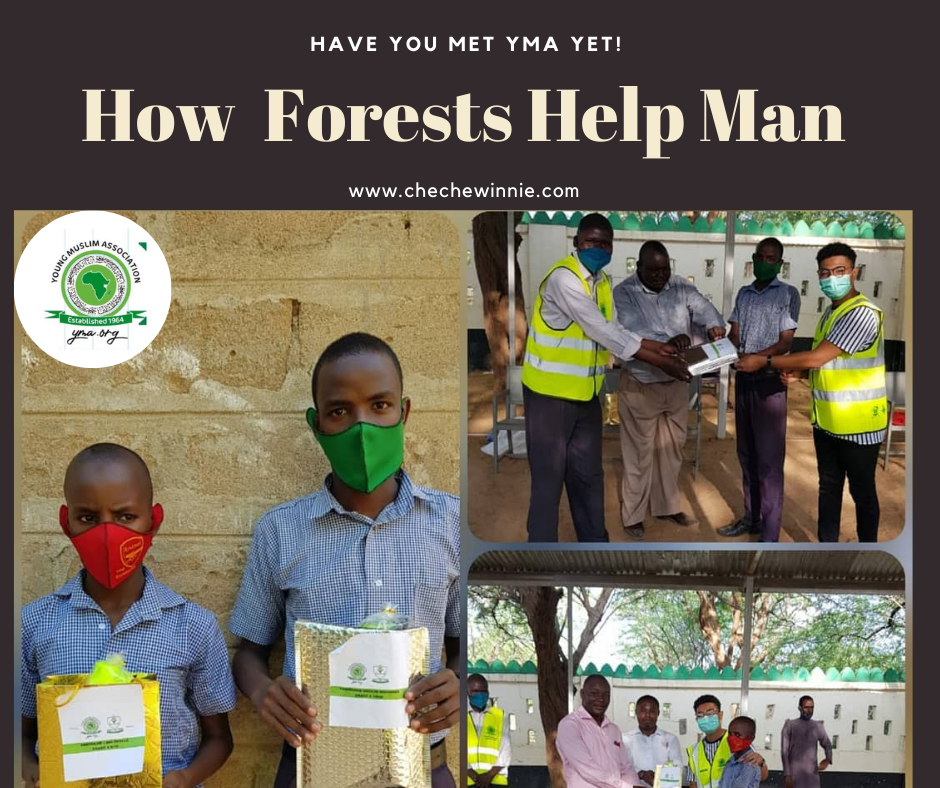 How Forests Help Man