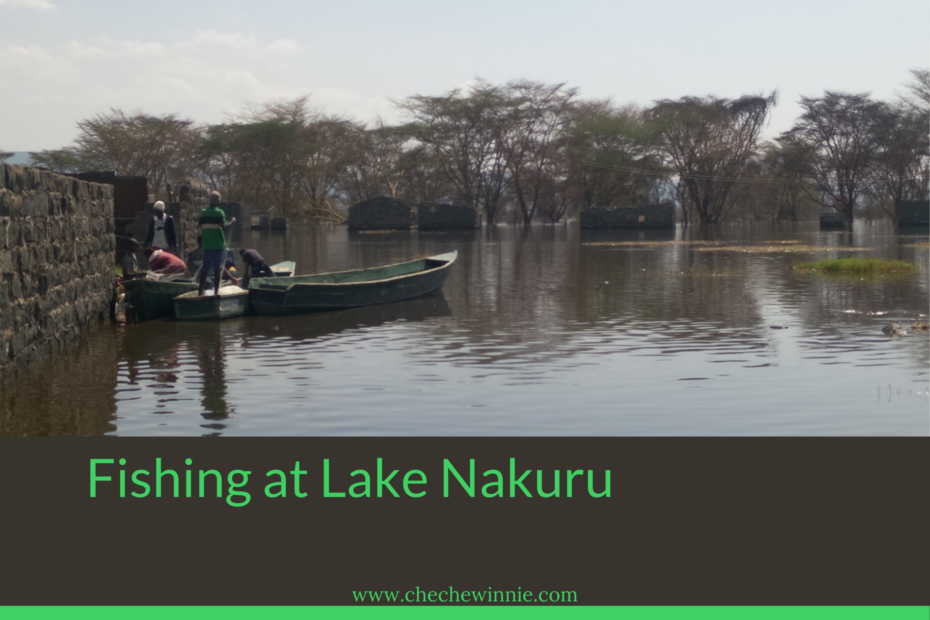 Fishing at Lake Nakuru