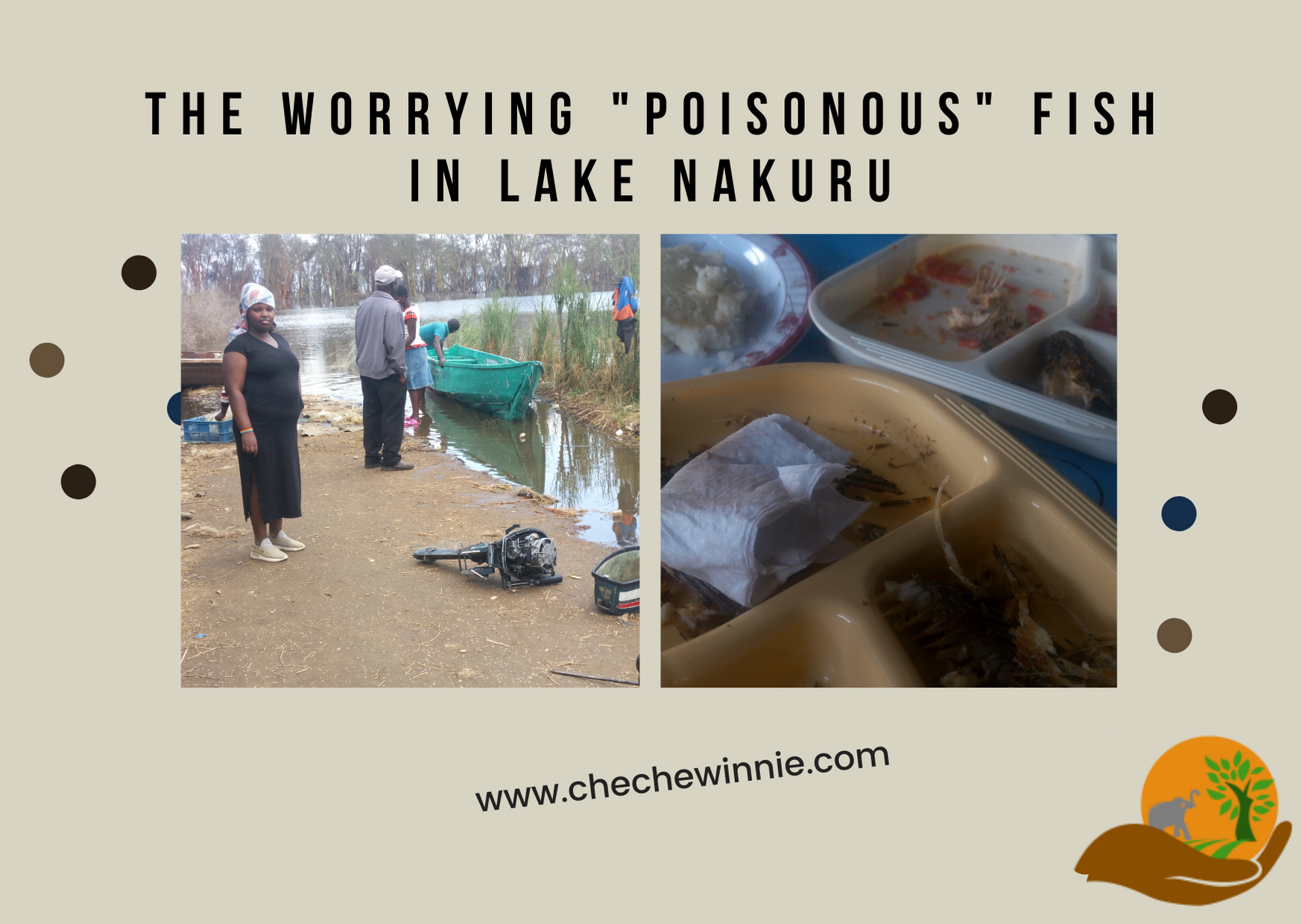 The worrying Poisonous fish in Lake Nakuru