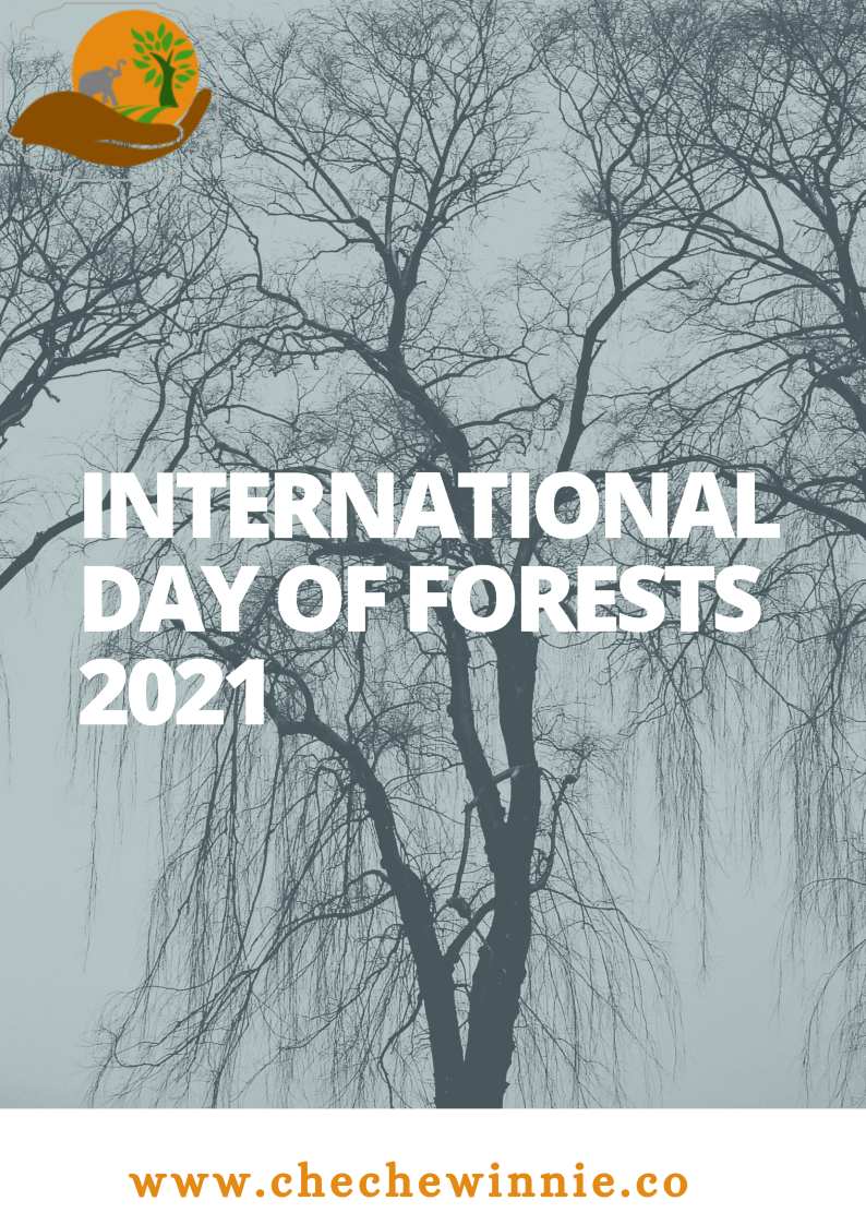 International Day of Forests 2021