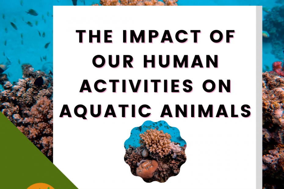 The Impact of Our Human Activities on Aquatic Animals