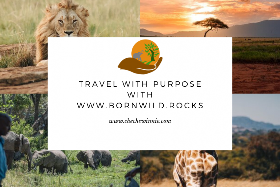 Travel with Purpose with www.bornwild.rocks