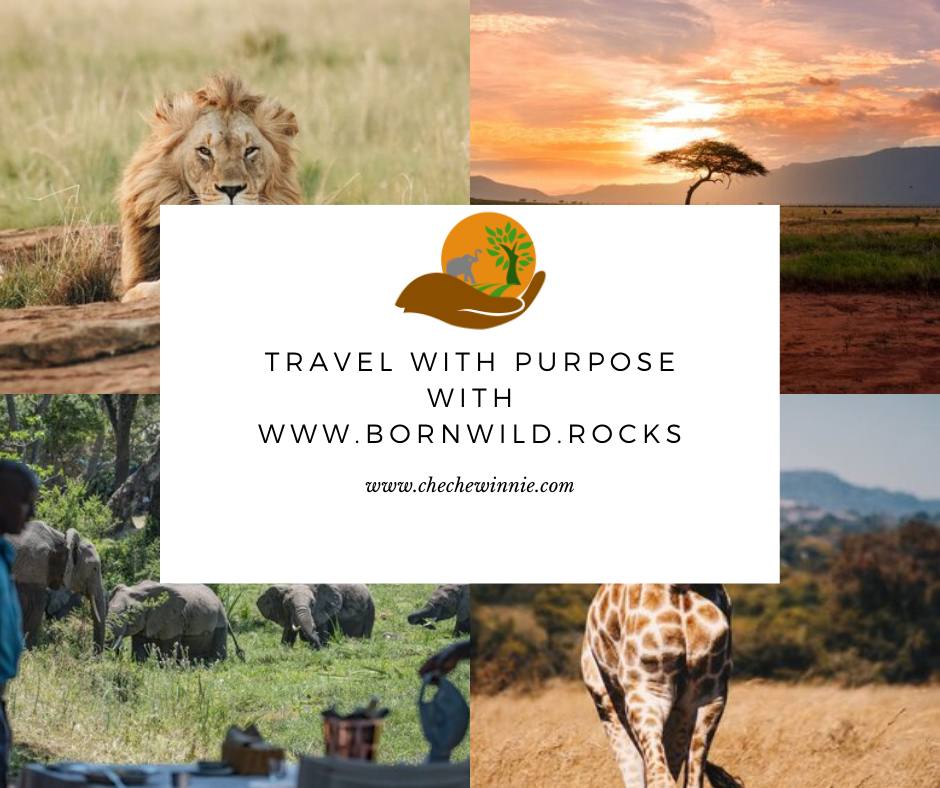 Travel with Purpose with www.bornwild.rocks