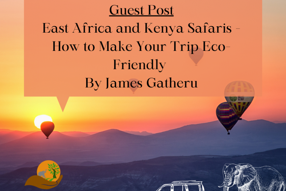 Guest Post East Africa and Kenya Safaris - How to Make Your Trip Eco-Friendly By James Gatheru