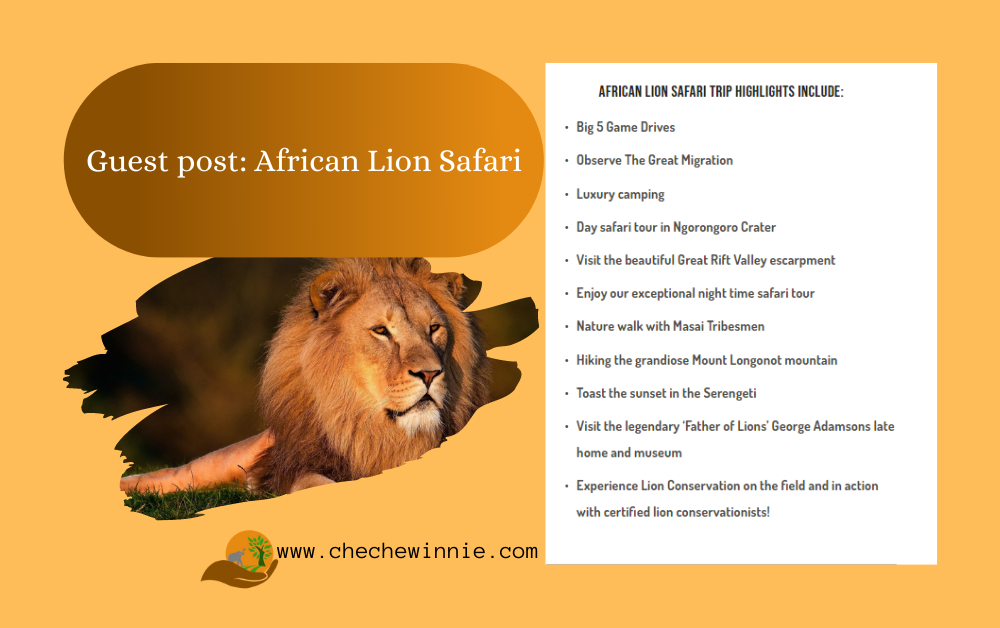 Guest post: African Lion Safari