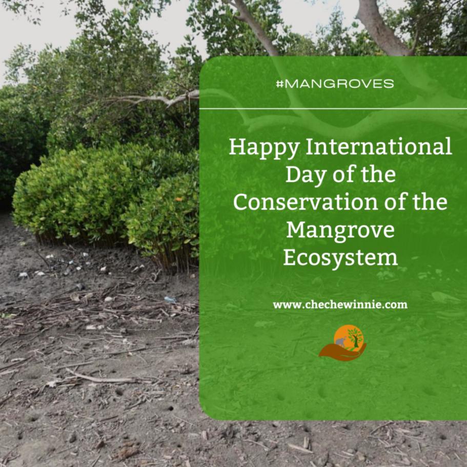 Happy International Day of the Conservation of the Mangrove Ecosystem