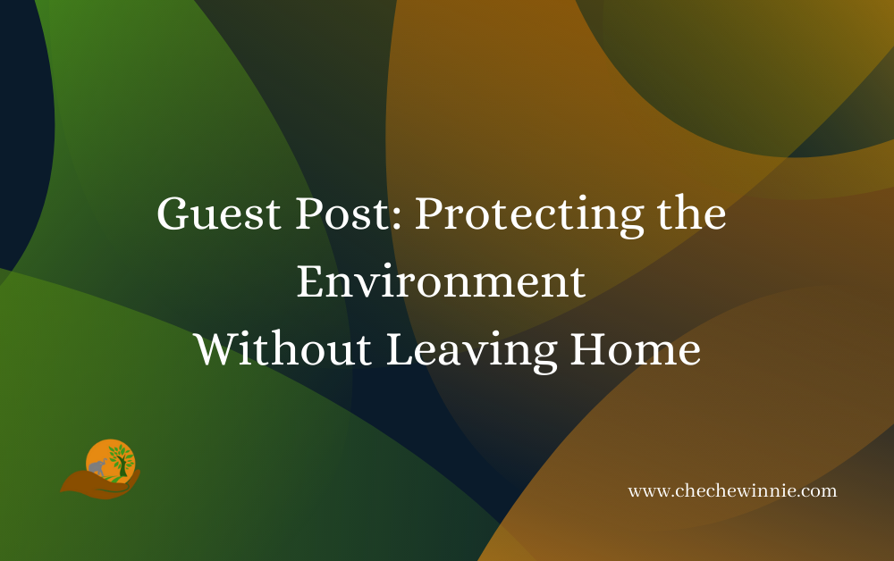 Guest Post: Protecting the Environment Without Leaving Home