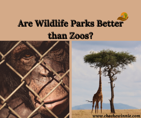 Are Wildlife Parks Better than Zoos?