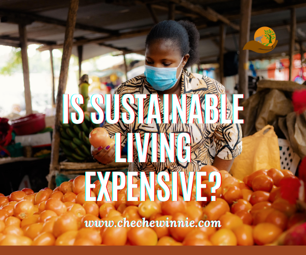 Is Sustainable living Expensive