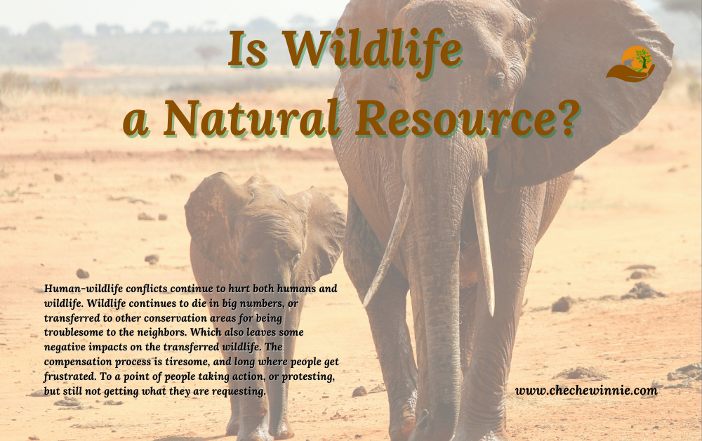 Is Wildlife a Natural Resource