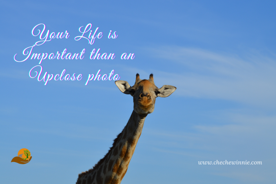 Your Life is Important than an Up-close photo