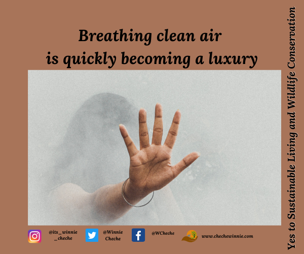Breathing clean air is quickly becoming a luxury
