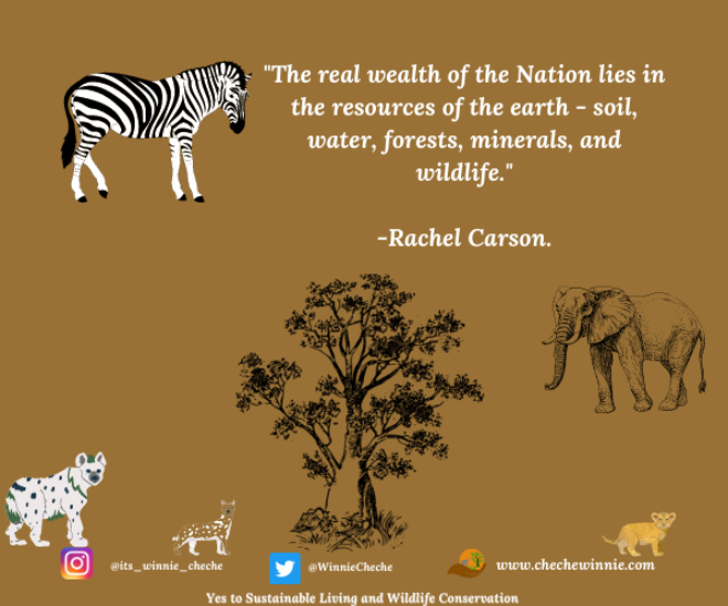 Real wealth of the Nation lies in the resources of the earth