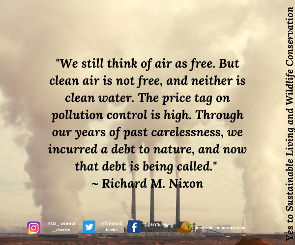 Clean air is not free, and neither is clean water