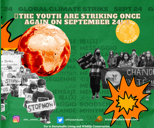 THE YOUTH ARE STRIKING ONCE AGAIN ON SEPTEMBER 24!