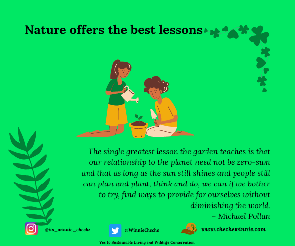 Nature offers the best lessons