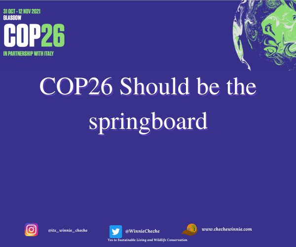 COP26 should be the springboard