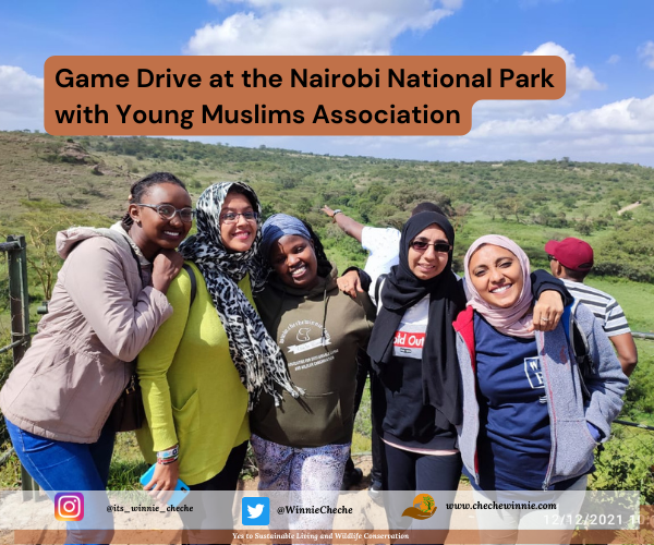 Game Drive at the Nairobi National Park with Young Muslims Association