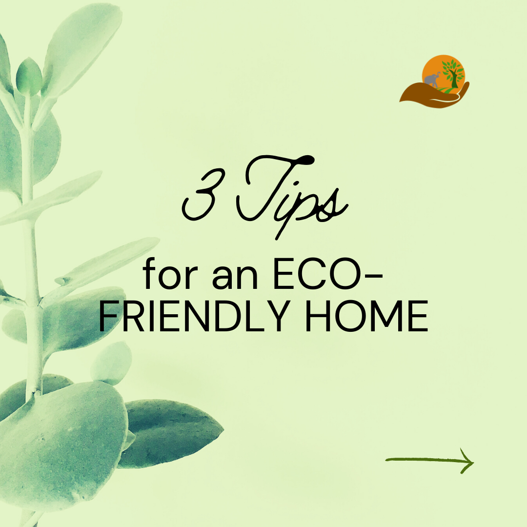 3 Tips for an ECO-FRIENDLY HOME 💚