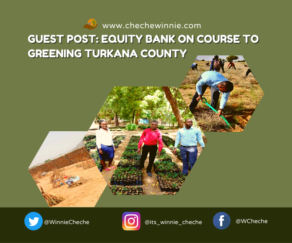 GUEST POST: EQUITY BANK ON COURSE TO GREENING TURKANA COUNTY