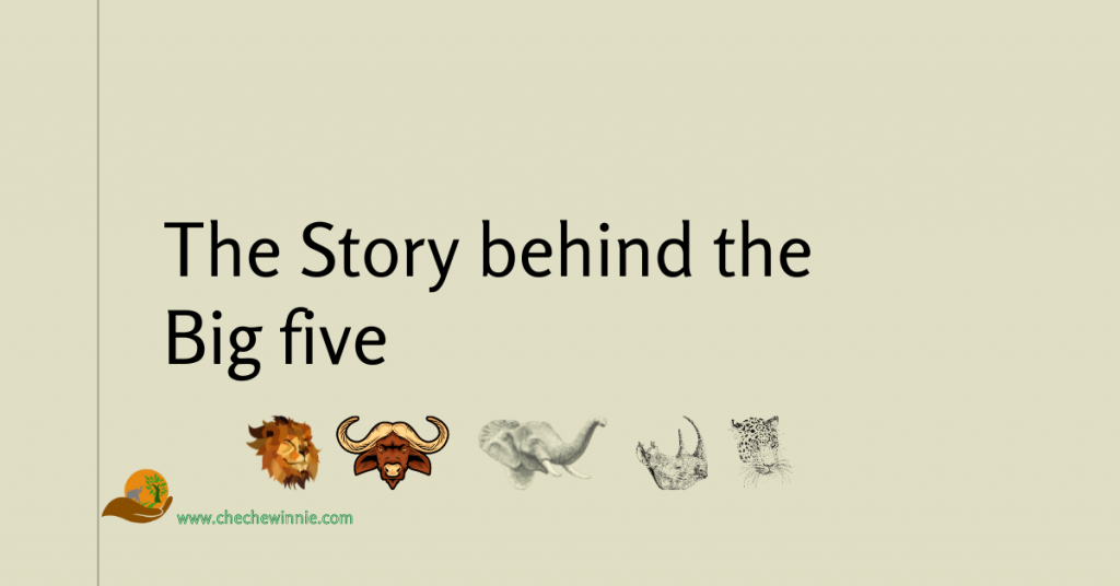 The Story behind the Big five