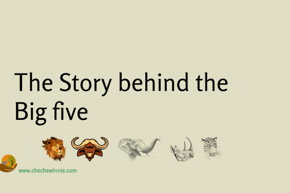 The Story behind the Big five