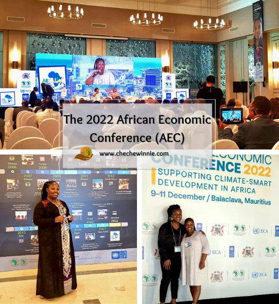 The 2022 African Economic Conference (AEC)