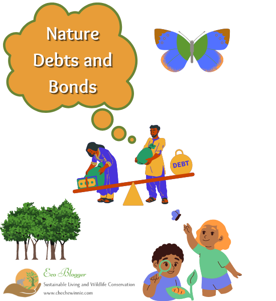 Nature Debts and Bonds