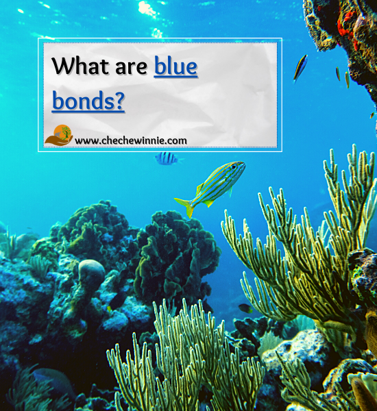 What are blue bonds?
