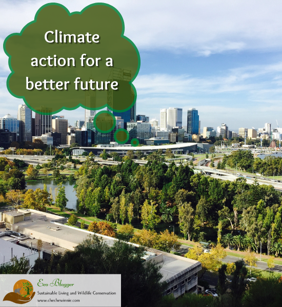 Climate action for a better future