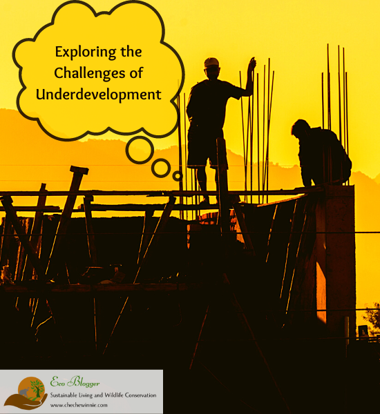 Exploring the Challenges of Underdevelopment