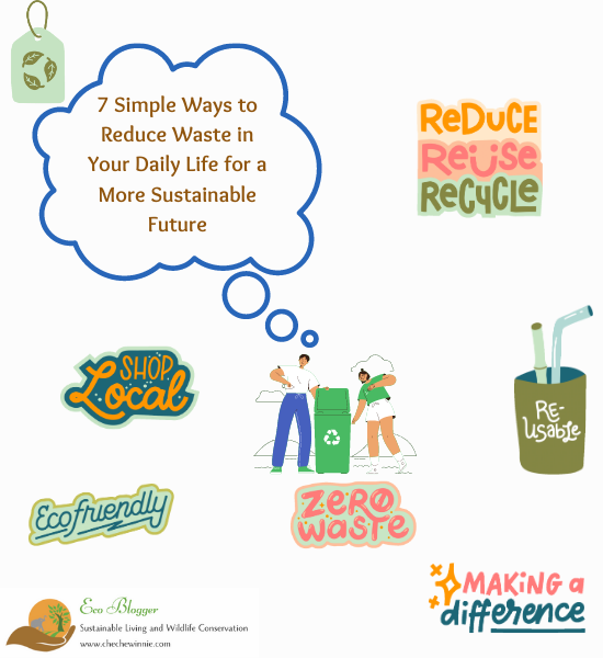7 Simple Ways to Reduce Waste in Your Daily Life for a More Sustainable Future