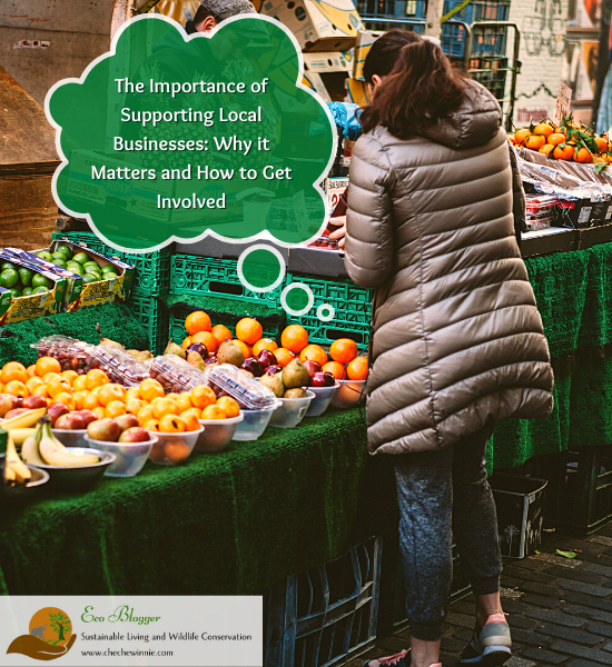 The Importance of Supporting Local Businesses: Why it Matters and How to Get Involved