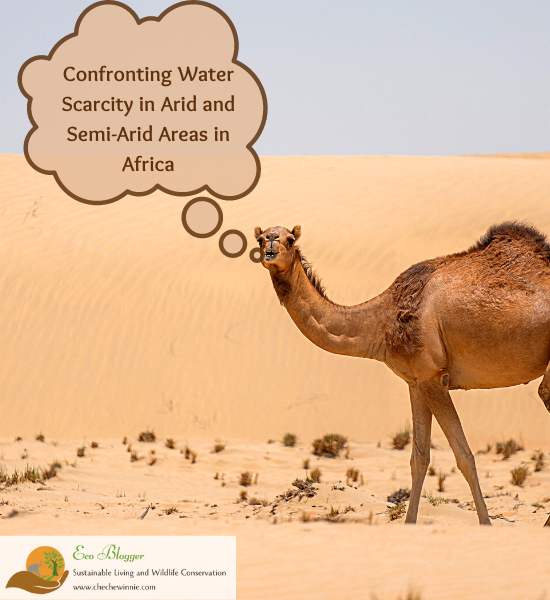 Confronting Water Scarcity in Arid and Semi-Arid Areas in Africa: Challenges and Solutions