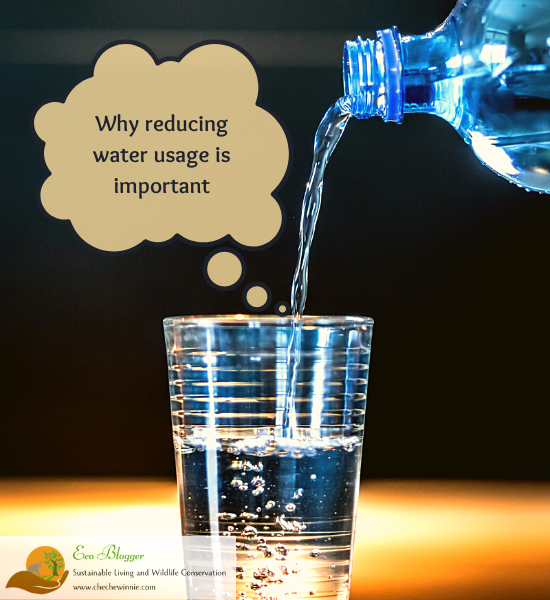 Why reducing water usage is important