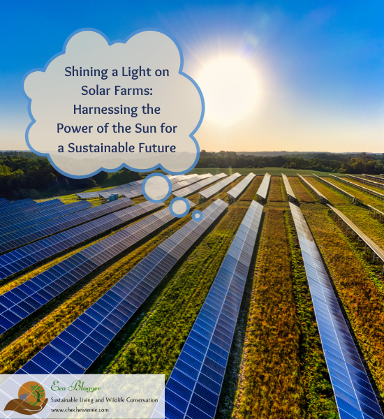 Shining a Light on Solar Farms: Harnessing the Power of the Sun for a Sustainable Future
