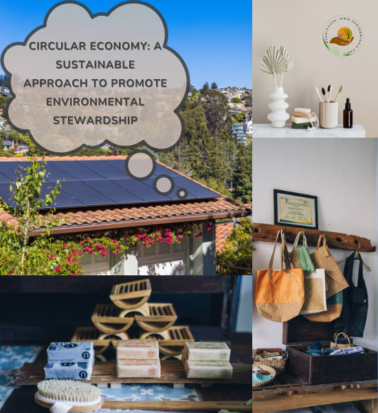 Circular Economy: A Sustainable Approach to Promote Environmental Stewardship