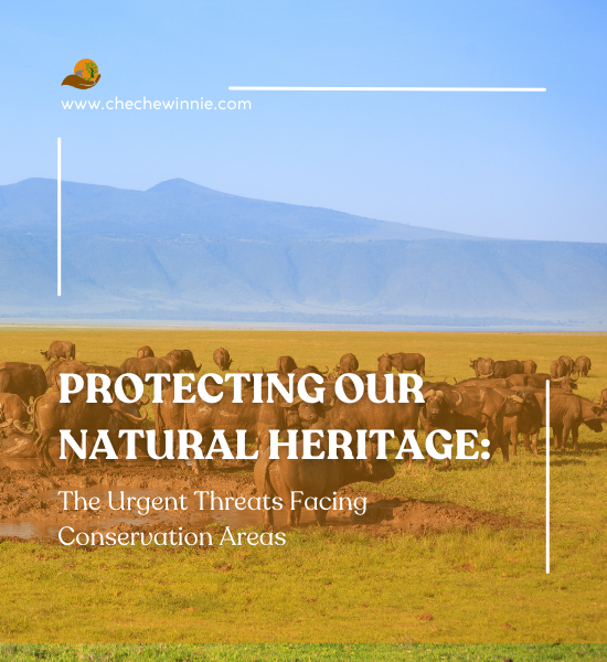 Protecting Our Natural Heritage: The Urgent Threats Facing Conservation Areas