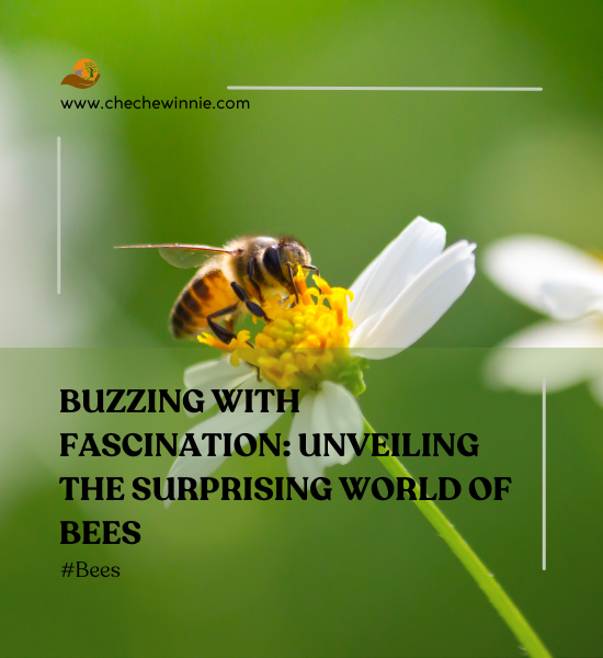 Buzzing with Fascination: Unveiling the Surprising World of Bees