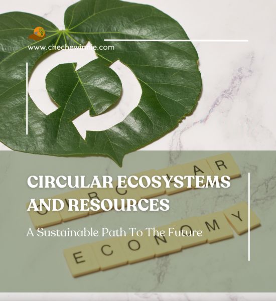 CIRCULAR ECOSYSTEMS AND RESOURCES A Sustainable Path To The Future