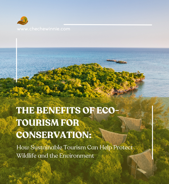 THE BENEFITS OF ECO-TOURISM FOR CONSERVATION: How Sustainable Tourism Can Help Protect Wildlife and the Environment