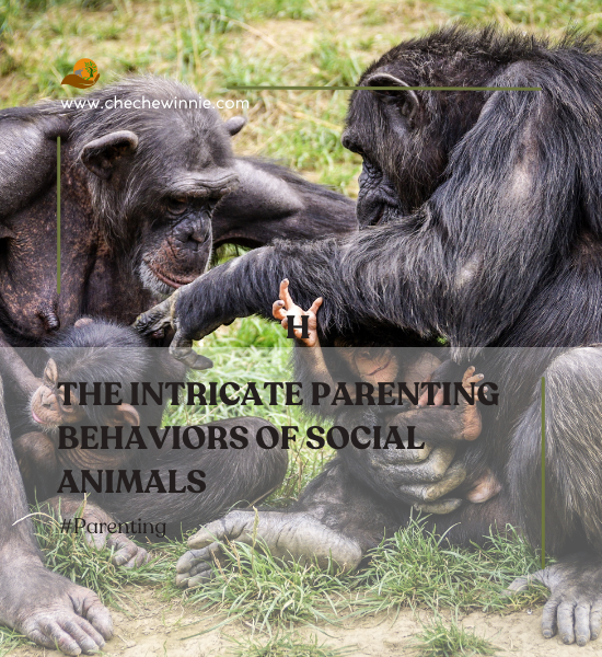 The Intricate Parenting Behaviors of Social Animals