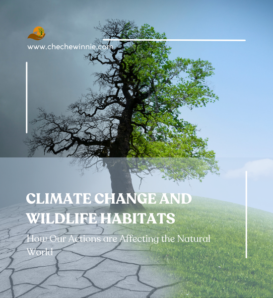 CLIMATE CHANGE AND WILDLIFE HABITATS: How Our Actions are Affecting the Natural World