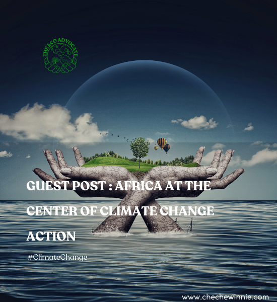 GUEST POST AFRICA AT THE CENTER OF CLIMATE CHANGE ACTION (1)