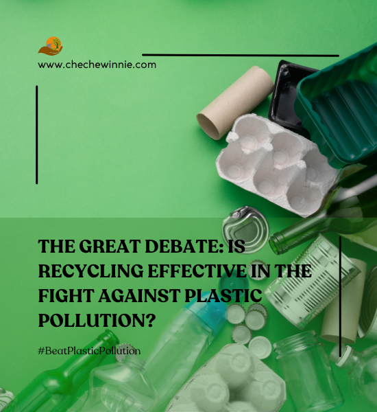 The Great Debate: Is Recycling Effective in the Fight Against Plastic Pollution?