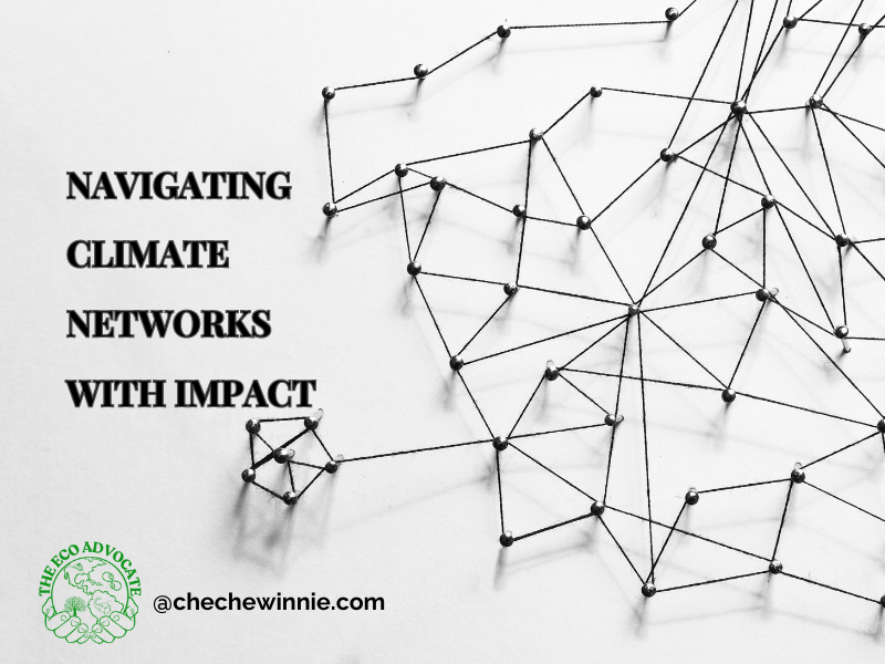 Navigating Climate Networks with Impact