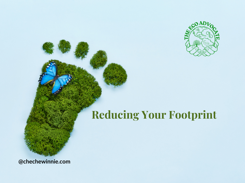 Reducing Your Footprint